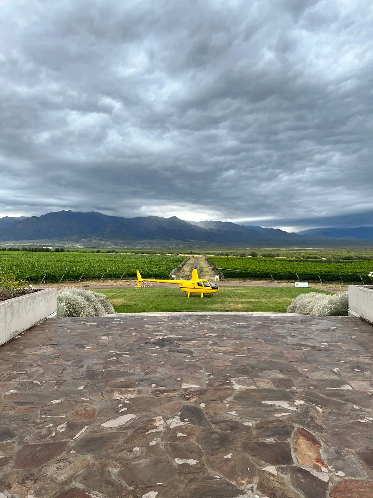 Heli-Wine Tour Luján de Cuyo